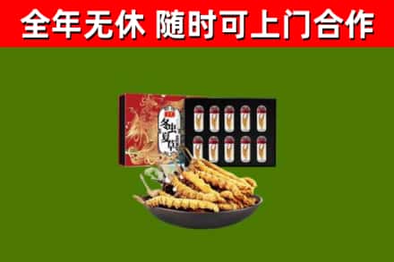 铁东回收冬虫夏草价格