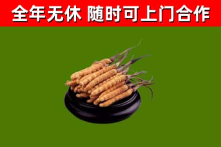 铁东回收冬虫夏草