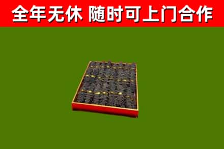 铁东回收海参